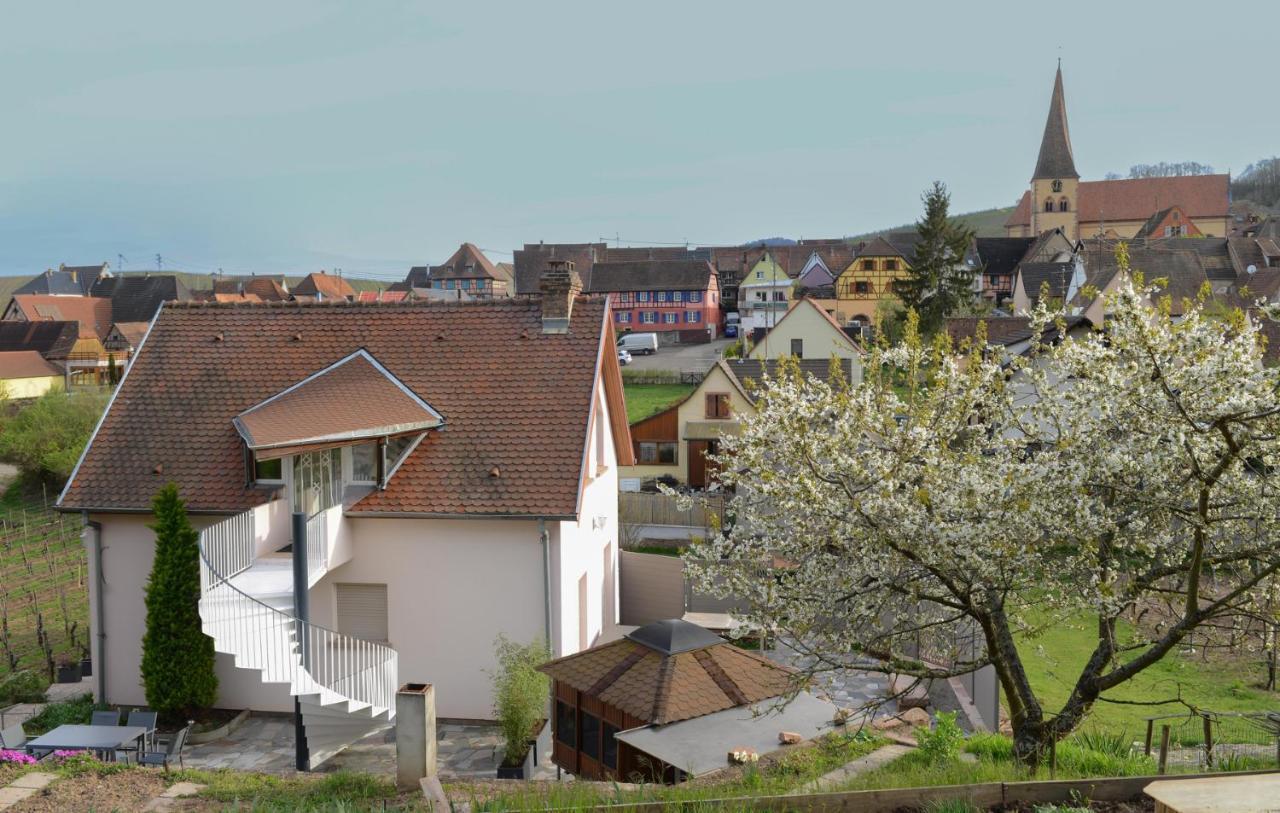 Les Glycines Du Sommerberg Niedermorschwihr 외부 사진