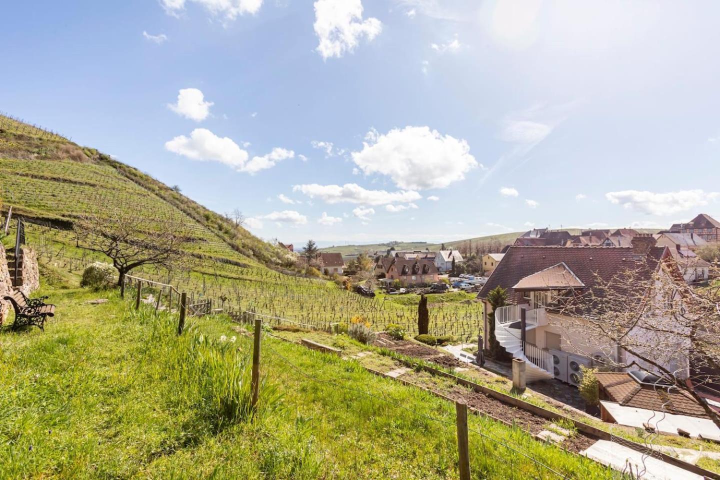 Les Glycines Du Sommerberg Niedermorschwihr 외부 사진